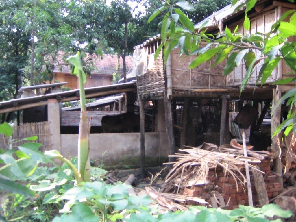 mai-chau-turismo-vietnam2