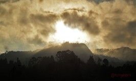 leyendas de bogota, el venado de oro