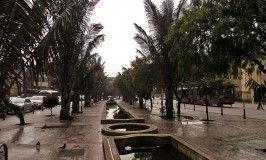 el eje ambiental