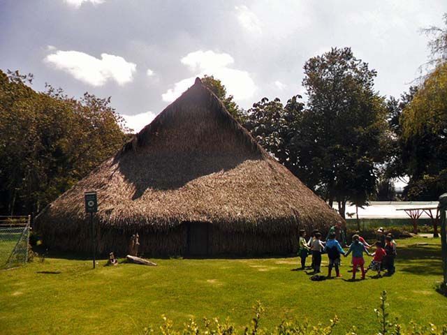 Niños jugando en el jardín botánico de Bogotá