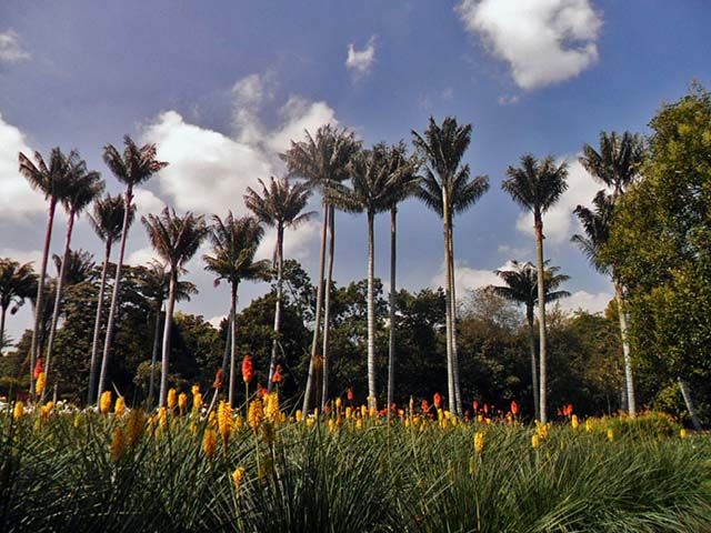 Vistas del jardín botánico de Bogotá