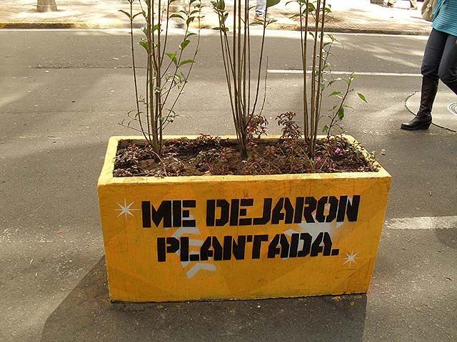 Graffiti del artista Toxicómano en una maceta