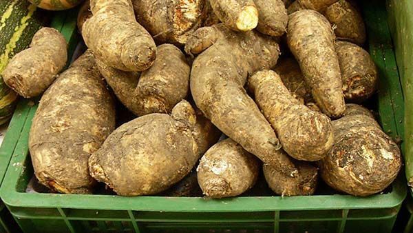 frutos de arracacha en un mercado colombiano
