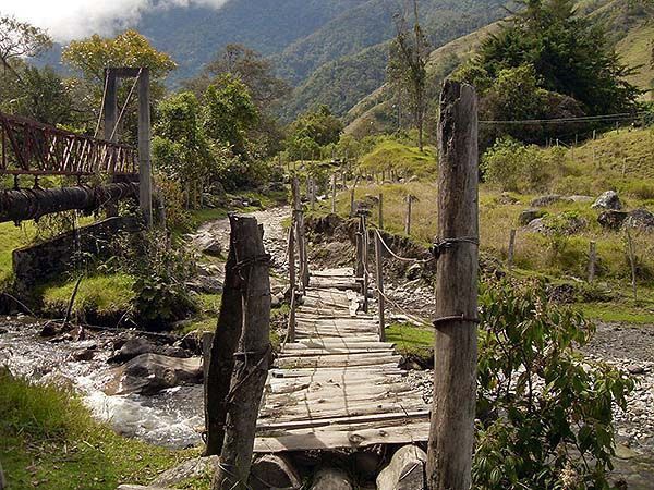 camino en el valle de Cocora, Eje Cafetero