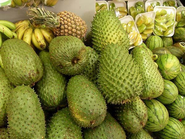 frutos de guanabana