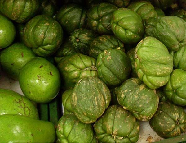 frutos de la guatila dispuestos en un mercado de Colombia