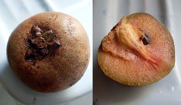 fruto de la zapotilla entero y abierto por la mitad