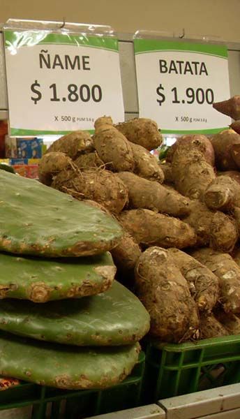 Ñames en un mercado colombiano