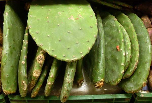enormes frutos de nopal en un supermercado colombiano