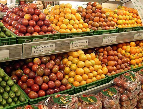 Tomate de árbol de varios tipos y colores