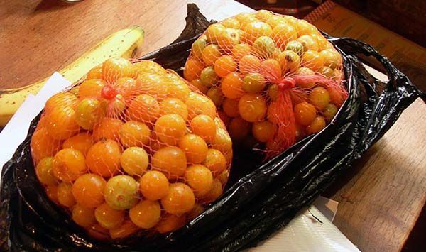 Dos bolsas llenas de uchuvas frescas
