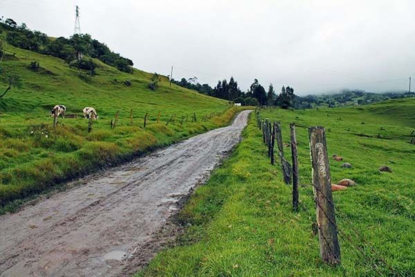 Camino boscoso y verde en Mesitas, Colombia