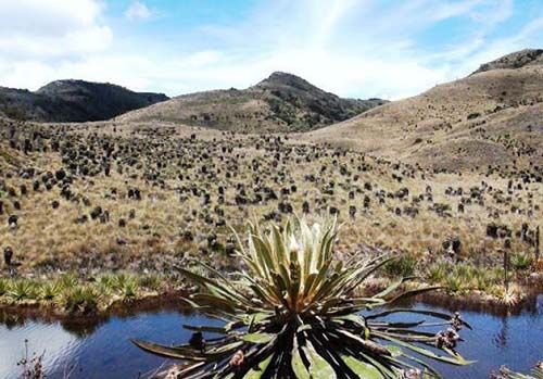 Nacimiento del río Bogotá