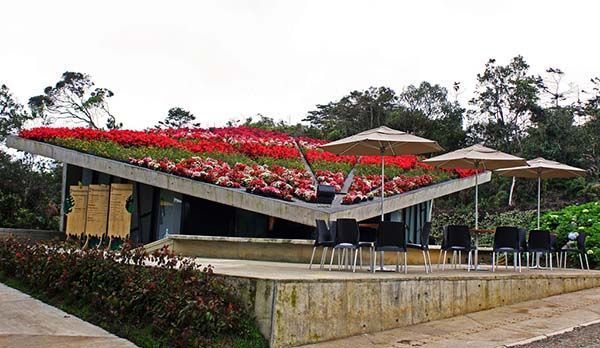 Silleta en Comfama Parque Arví