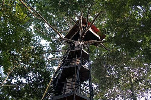 Casa árbol en el Paway, Putumayo