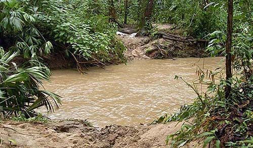 Camino de barro y agua en el PNN Tayrona
