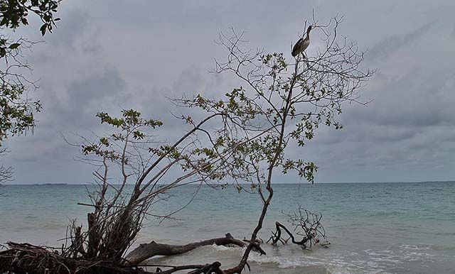 playa en Puerto Caracol, isla Múcura