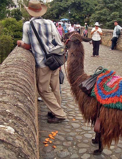puente del Humilladero en Popayán 