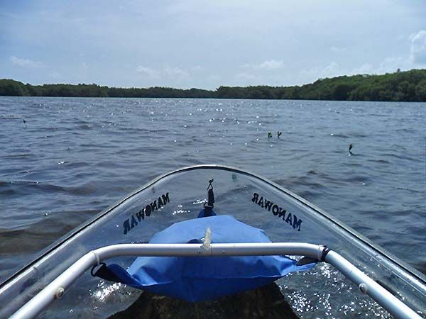 Navegando en kayak transparente
