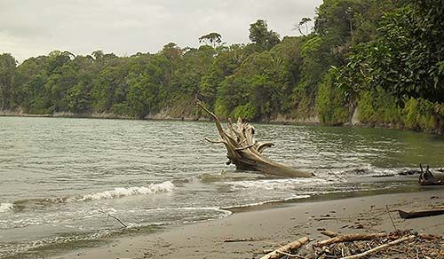 Parque Nacional de Gorgona