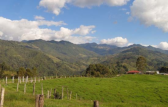 Vistas del PNN de Los Nevados