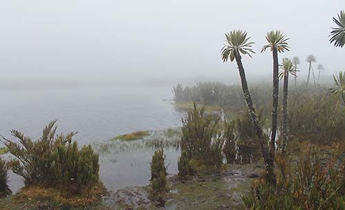 PNN de Sumapaz