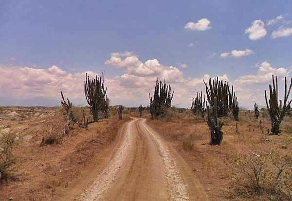 Camino de arena en el desierto de la Tatacoa