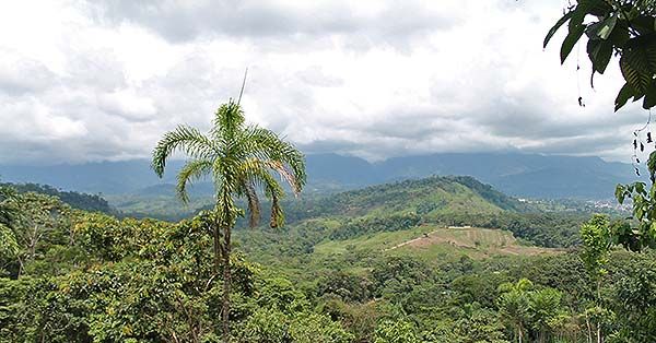 Vistas de Mocoa desde la selva