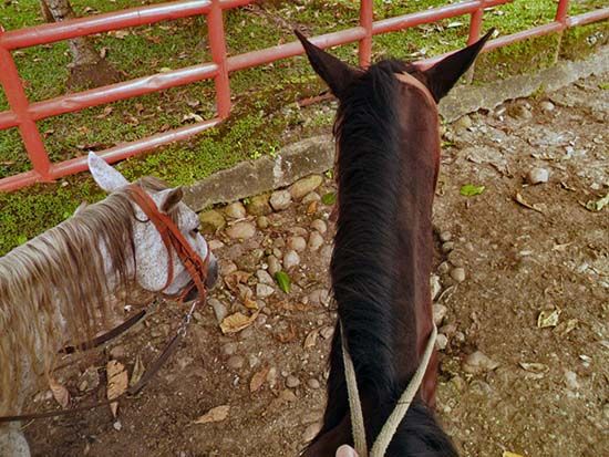 Montando a caballo cerca de Villavicencio