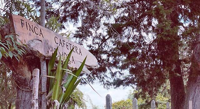 entrada a la finca cafetera