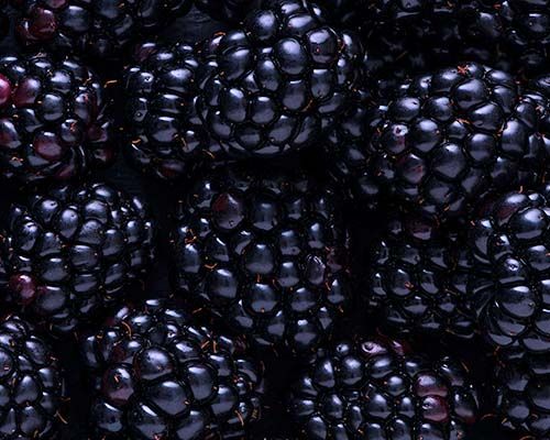 moras